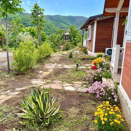 Baven -Toven Naturae Rubik Bagian luar foto