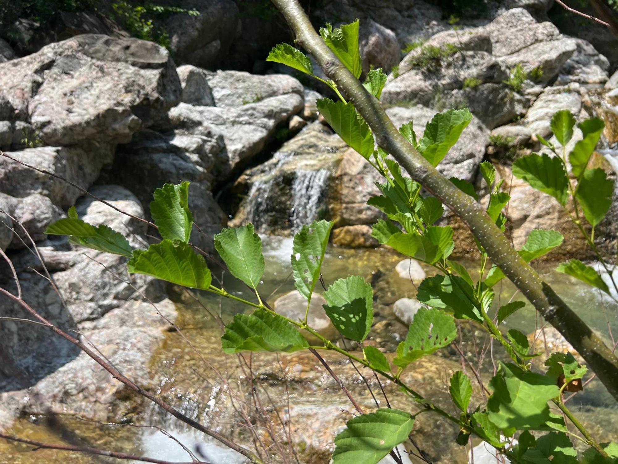 Baven -Toven Naturae Rubik Bagian luar foto
