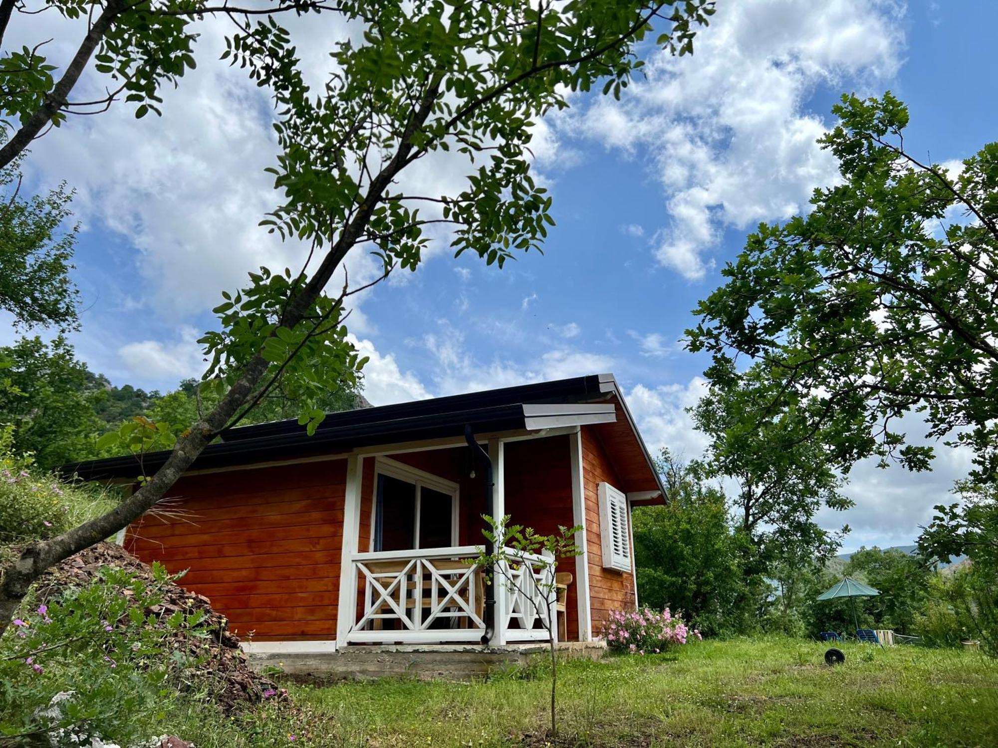 Baven -Toven Naturae Rubik Bagian luar foto