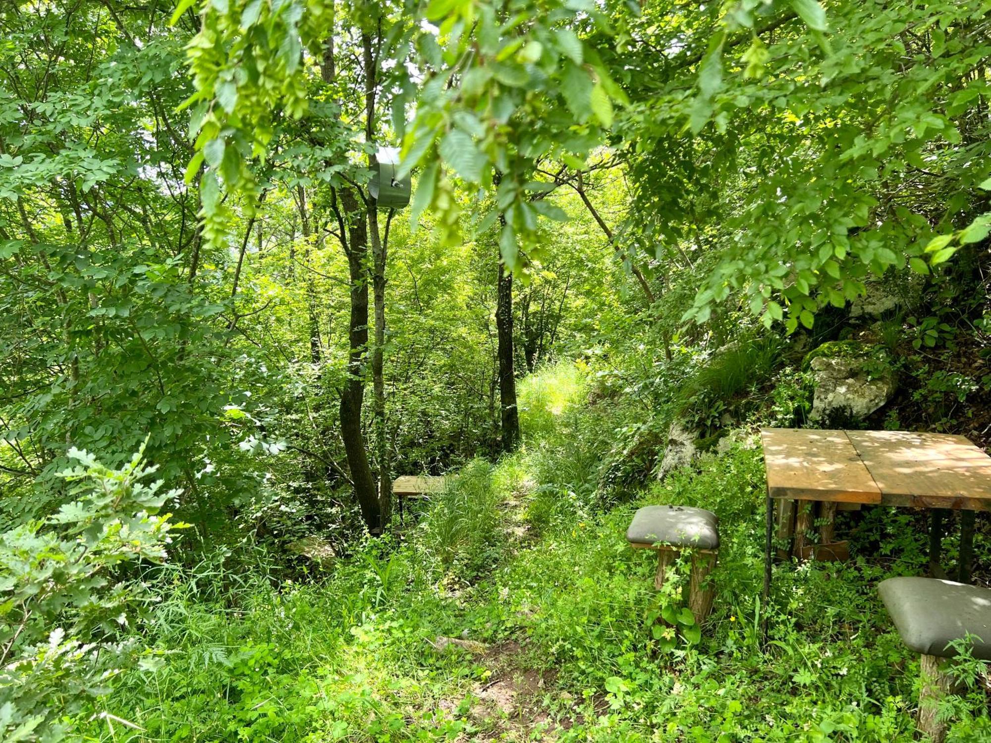 Baven -Toven Naturae Rubik Bagian luar foto