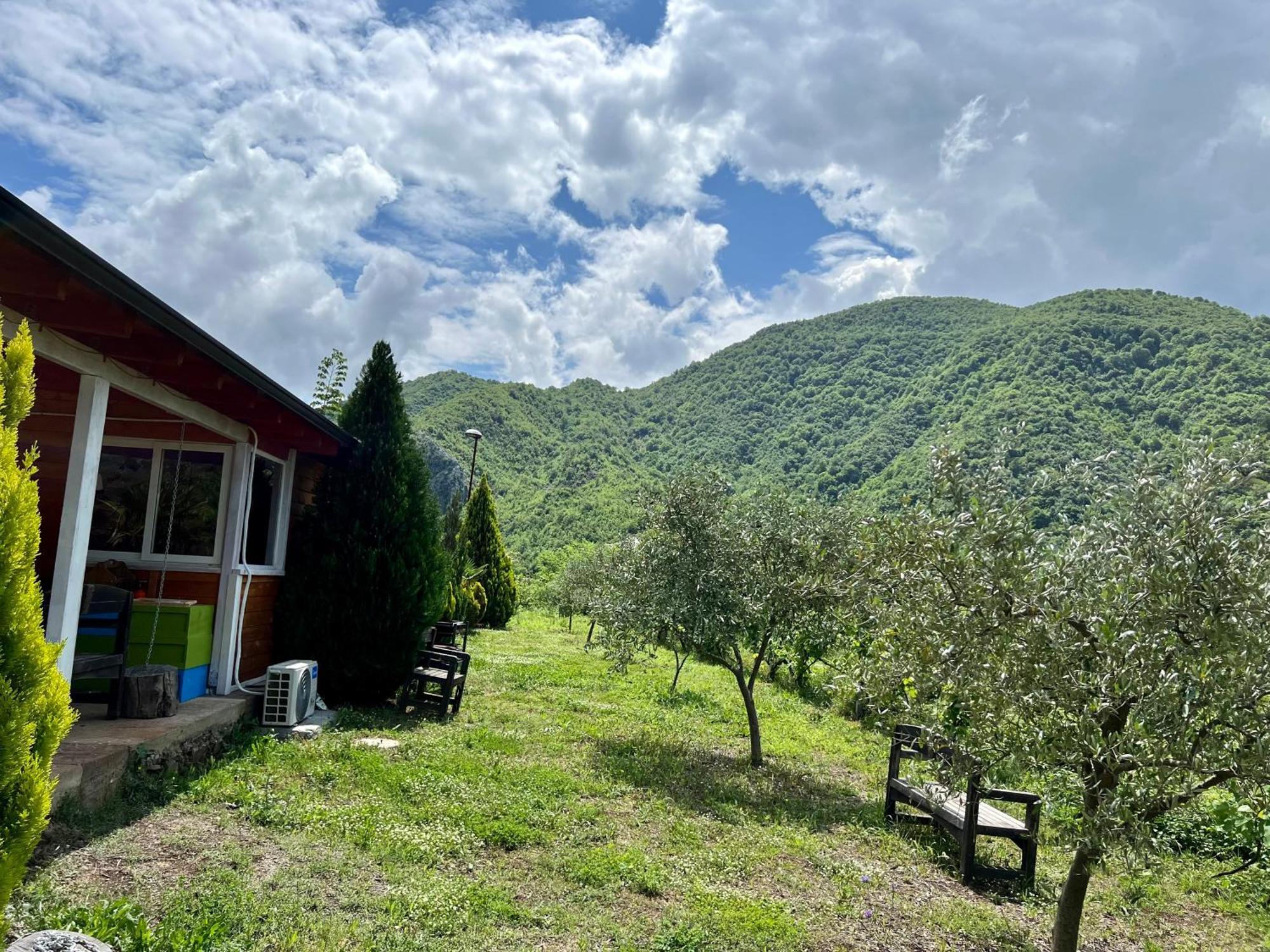 Baven -Toven Naturae Rubik Bagian luar foto